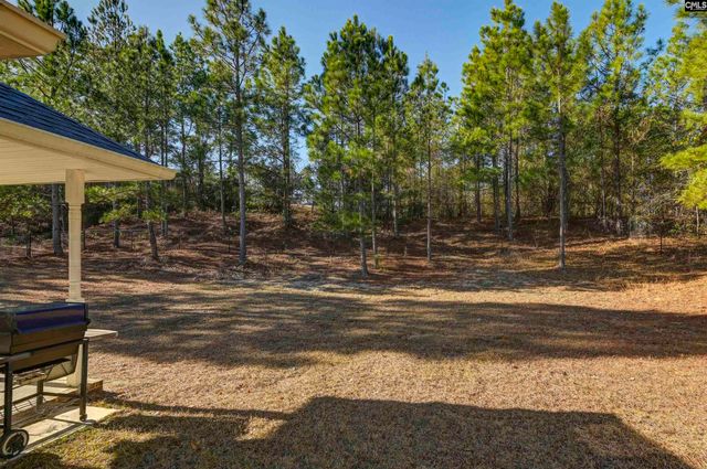 672 Old Orangeburg Road, Lexington, SC 29073