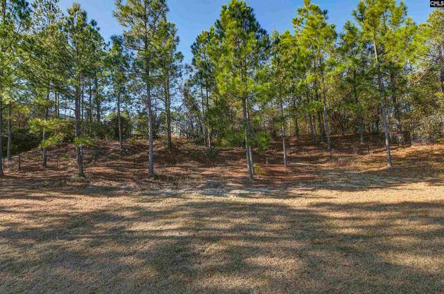 672 Old Orangeburg Road, Lexington, SC 29073