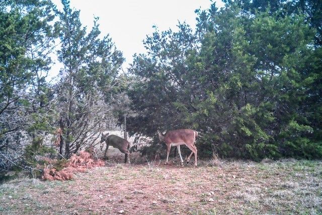 2998 Straws Mill Road, Gatesville, TX 76528