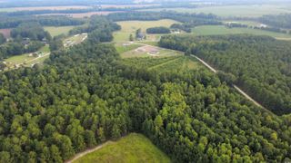 Lot 8 Tooge Hayes Rd., Mullins, SC 29574