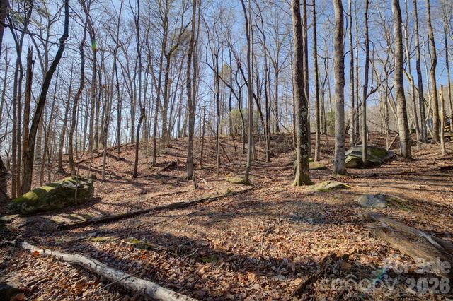 004 High Road Court 4, Lake Lure, NC 28746