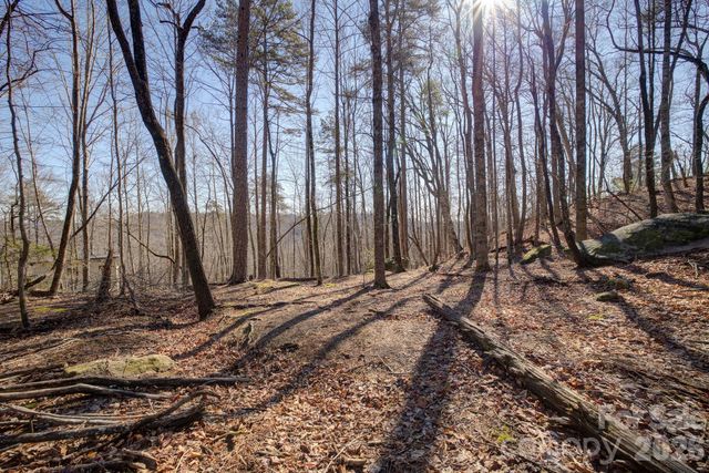 004 High Road Court 4, Lake Lure, NC 28746