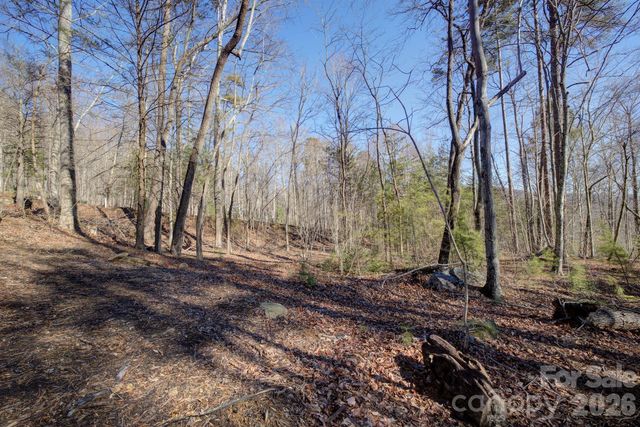 004 High Road Court 4, Lake Lure, NC 28746