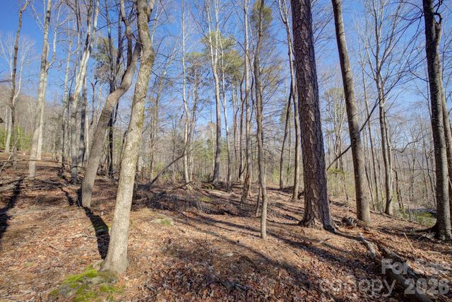 004 High Road Court 4, Lake Lure, NC 28746