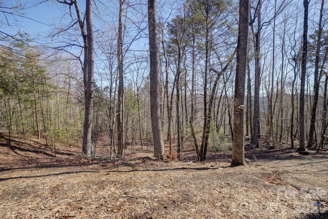 004 High Road Court 4, Lake Lure, NC 28746