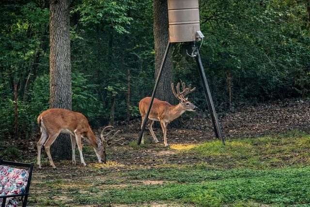 3360 Forest Glen Drive, Corinth, TX 76210