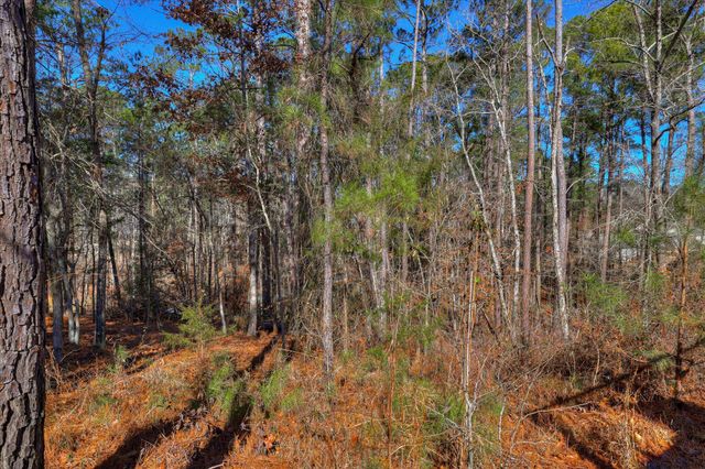 408 Reynard Place, Mc Cormick, SC 29835