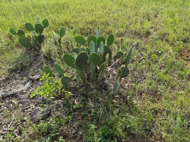 TBD 10.4 acres Co Rd 4055, Kemp, TX 75143