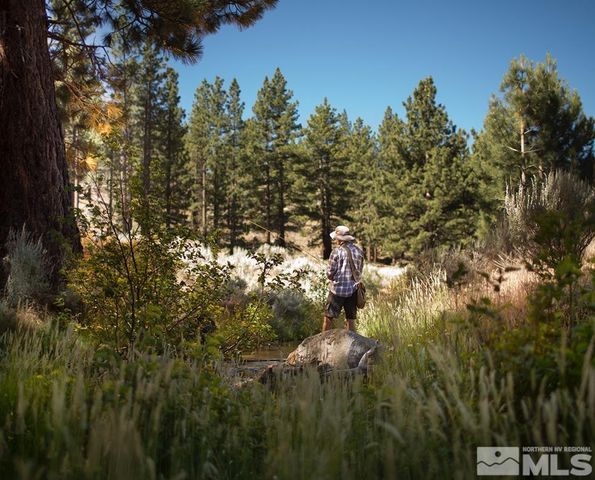 199 Walton Toll Road, Carson City, NV 89705