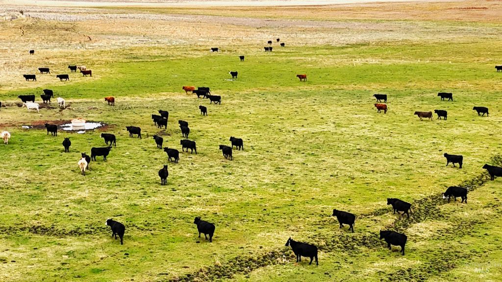 TBD Tbd, Klamath Falls, OR 97601 photo 8