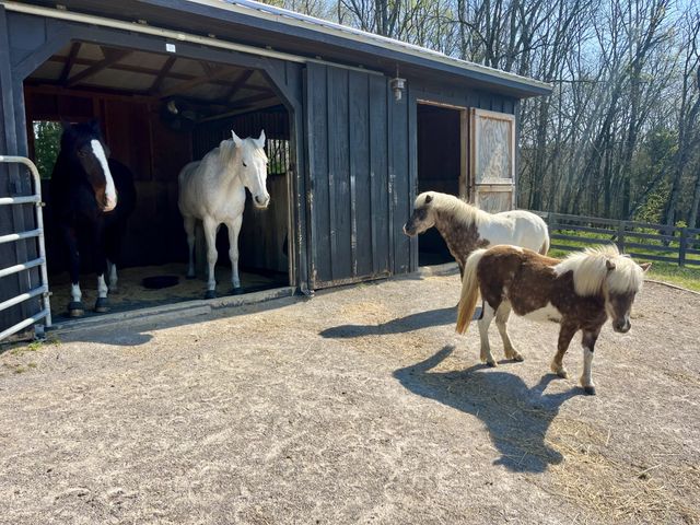 934 Hickory Hills Dr, Franklin, TN 37067