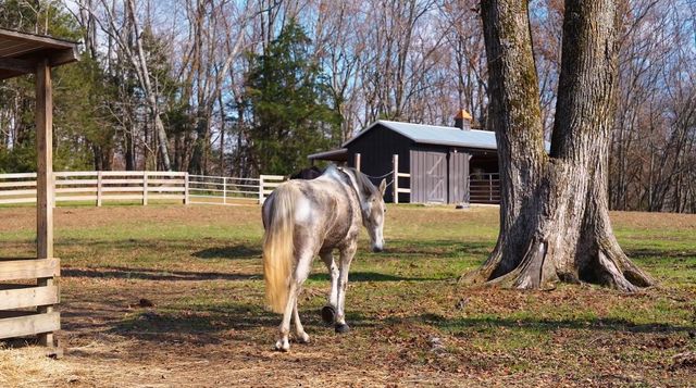 934 Hickory Hills Dr, Franklin, TN 37067