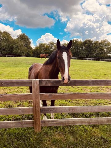 934 Hickory Hills Dr, Franklin, TN 37067