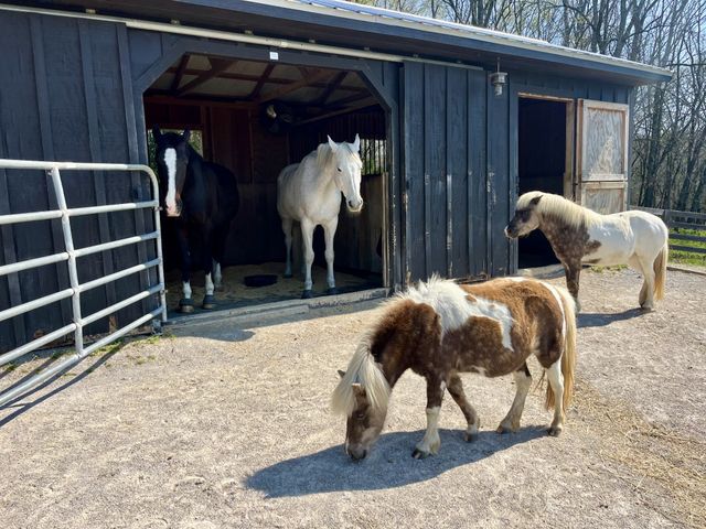 934 Hickory Hills Dr, Franklin, TN 37067