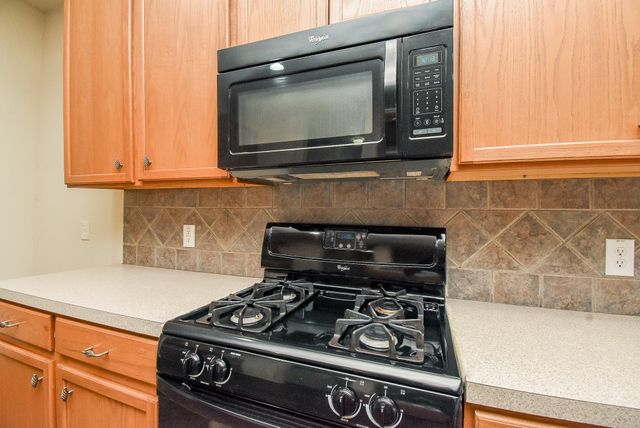 2814 Edgewick Elm Street, Fresno, TX 77545