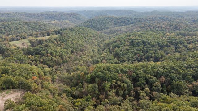 2658 Cedar Gap Road, Seymour, MO 65746