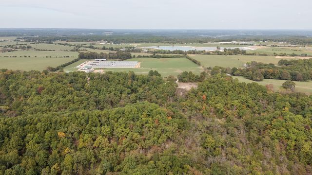 2658 Cedar Gap Road, Seymour, MO 65746