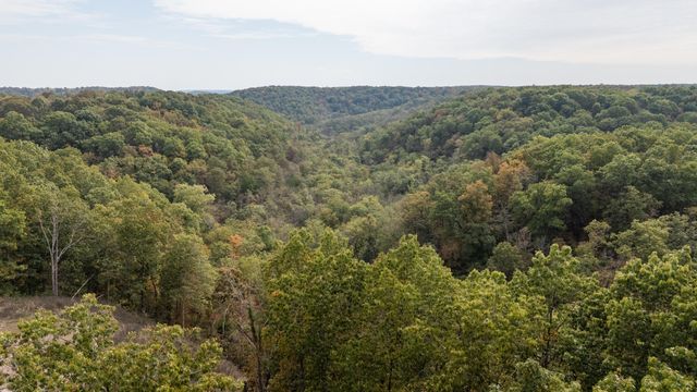 2658 Cedar Gap Road, Seymour, MO 65746