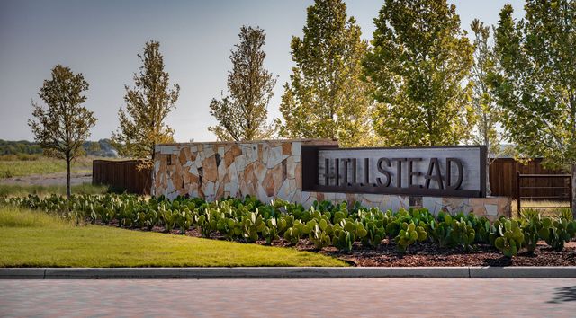 1719 Hillside Stroll Drive, Lavon, TX 75166