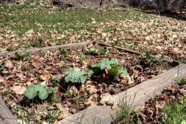 338 E Tamarack Street, Ironwood, MI 49938