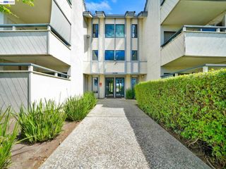 26088 Kay Ave 205, Hayward, CA 94545