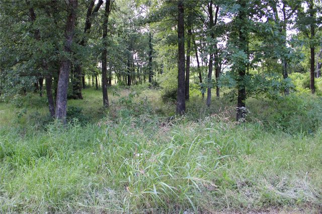 116 Lakeview Trail, Mabank, TX 75147