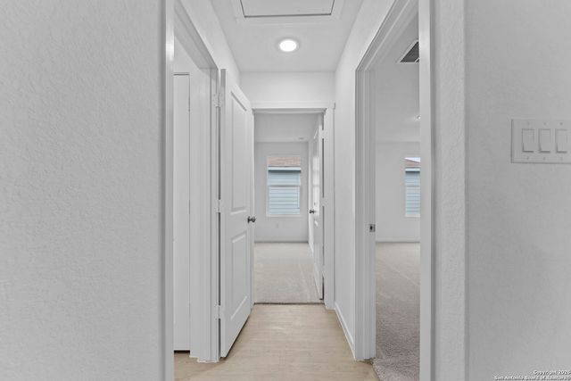 1831 Wood Warbler, New Braunfels, TX 78130