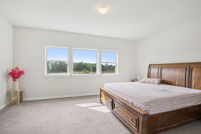 11032 SUNDRIFT DRIVE, Tampa, FL 33647