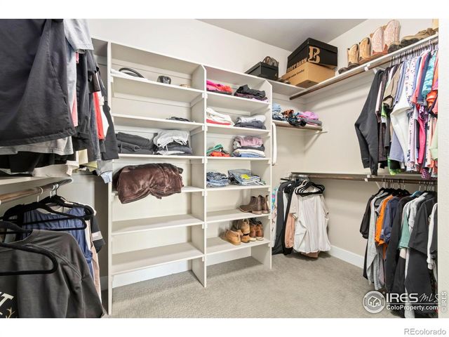 6709 Stone Point Drive, Timnath, CO 80547