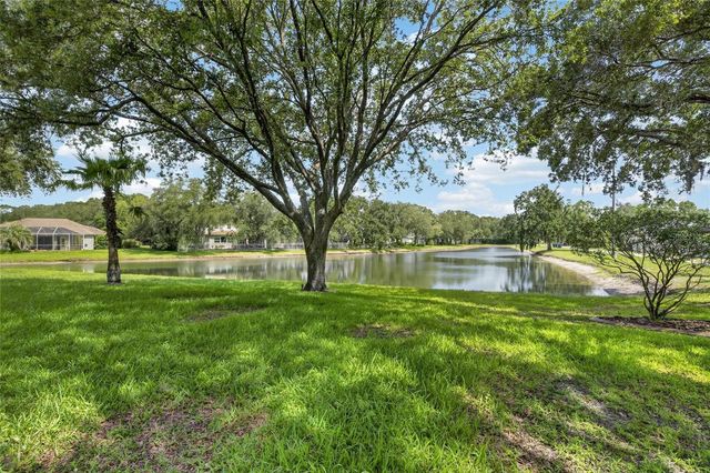 7508 DUNBRIDGE DRIVE, Odessa, FL 33556