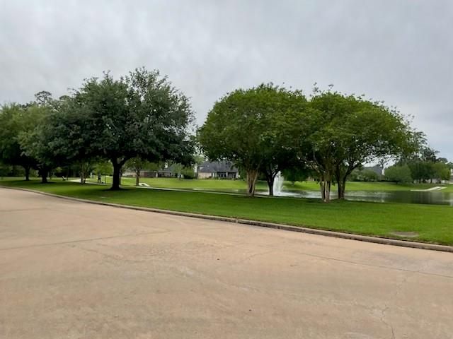 25707 White Springs Court, Spring, TX 77373