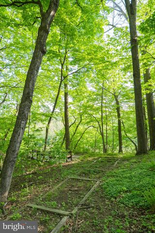 1223 STEAMBOAT RUN RD, Shepherdstown, WV 25443