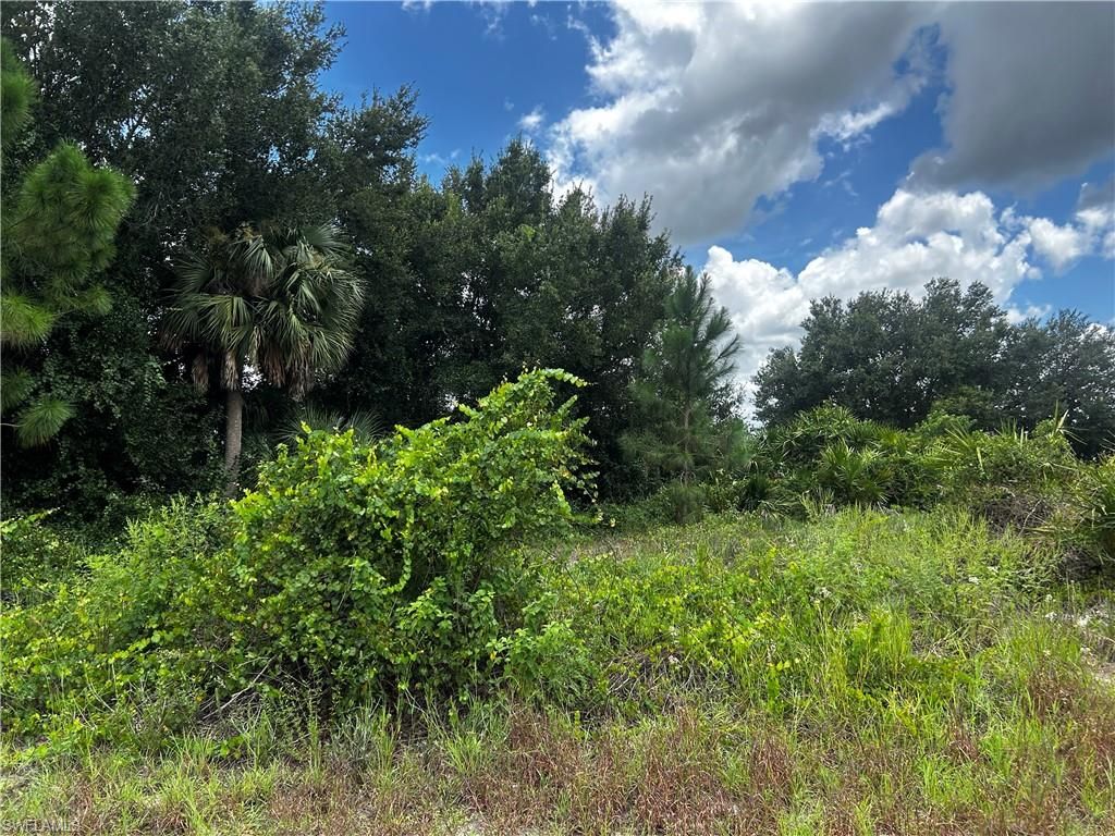 3313 27th ST SW, LEHIGH ACRES, FL 33976 — photo 2