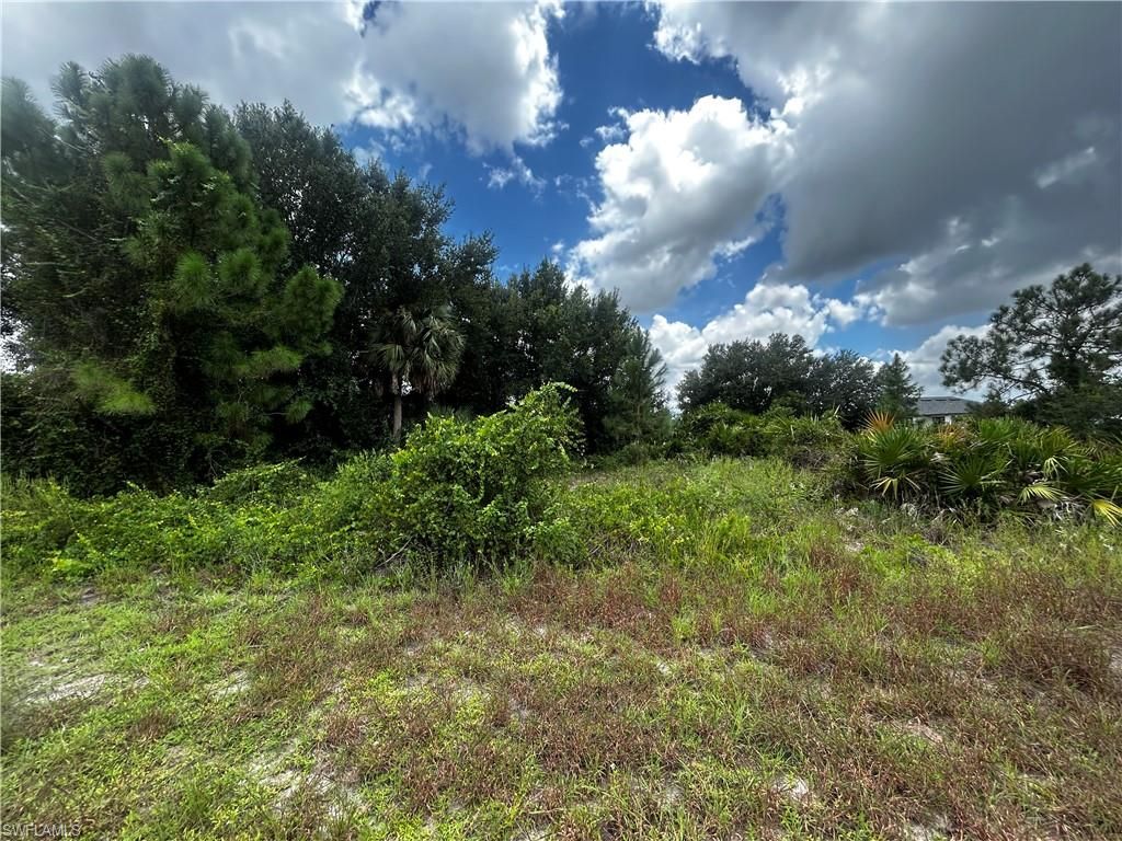3313 27th ST SW, LEHIGH ACRES, FL 33976 — photo 3