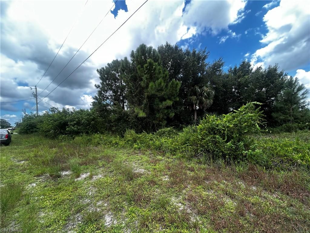 3313 27th ST SW, LEHIGH ACRES, FL 33976 — photo 5