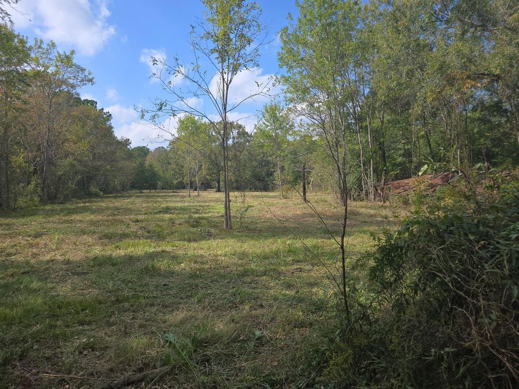 417 County Road 6881 N, Dayton, TX 77535