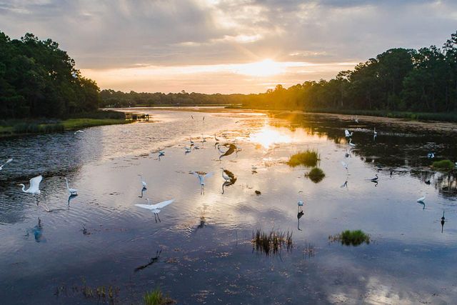 4023 Chantey Crest, Johns Island, SC 29455