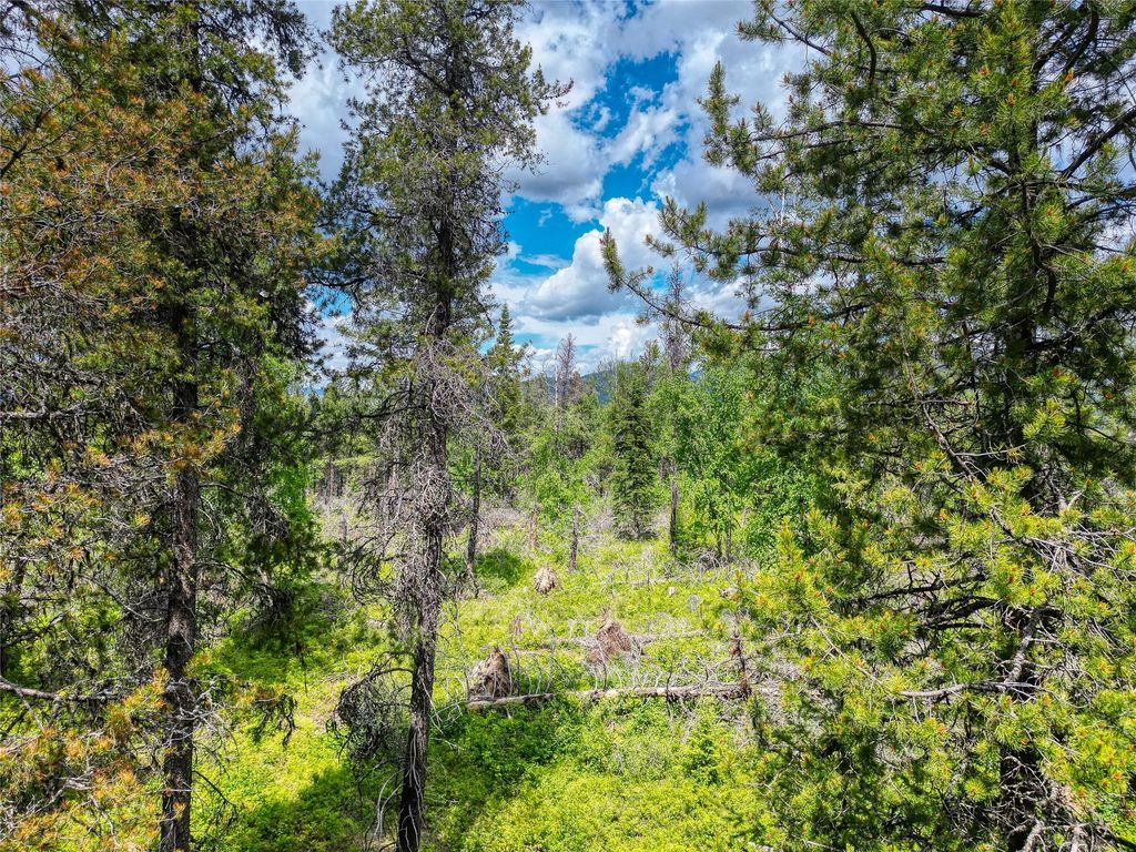 11315 US Highway 2 E, West Glacier, MT 59936 photo 29