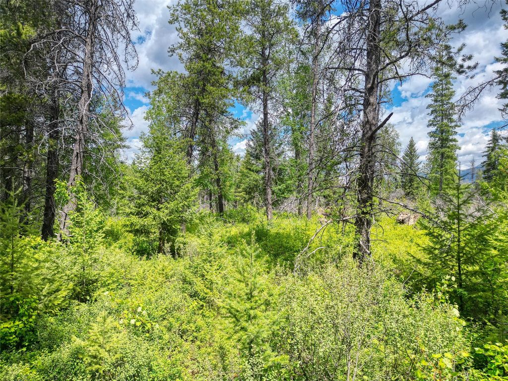 11315 US Highway 2 E, West Glacier, MT 59936 photo 37