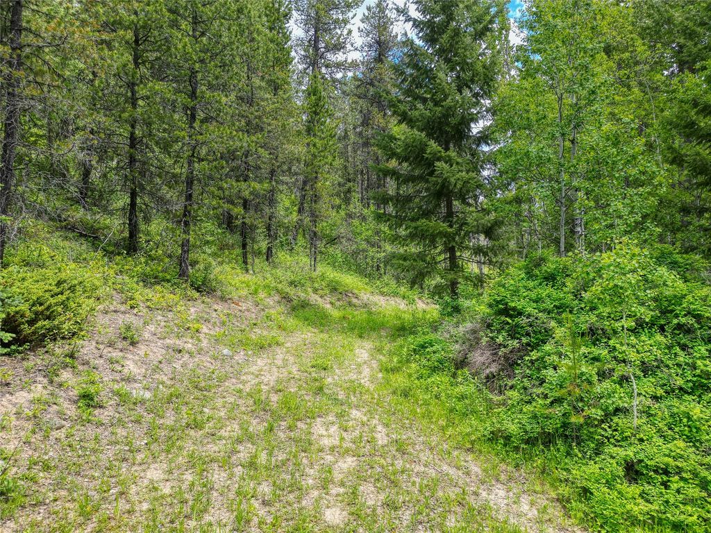 11315 US Highway 2 E, West Glacier, MT 59936 photo 38