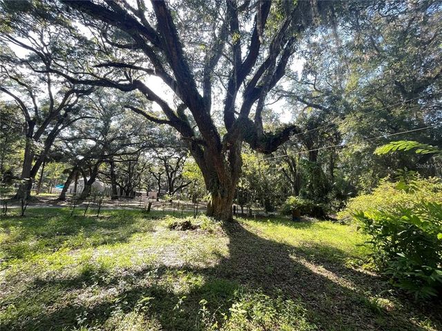 15100 NE 151ST STREET, Fort Mc Coy, FL 32134