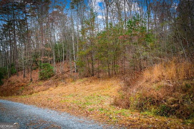 1.5 ACRE Bullen Gap Road, Blue Ridge, GA 30513