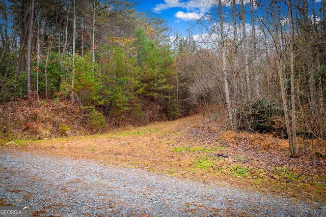 1.5 ACRE Bullen Gap Road, Blue Ridge, GA 30513