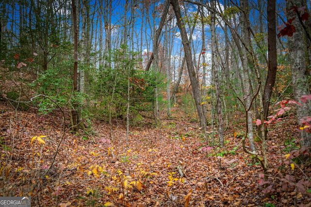 1.5 ACRE Bullen Gap Road, Blue Ridge, GA 30513