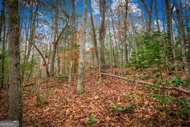 1.5 ACRE Bullen Gap Road, Blue Ridge, GA 30513