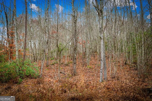1.5 ACRE Bullen Gap Road, Blue Ridge, GA 30513