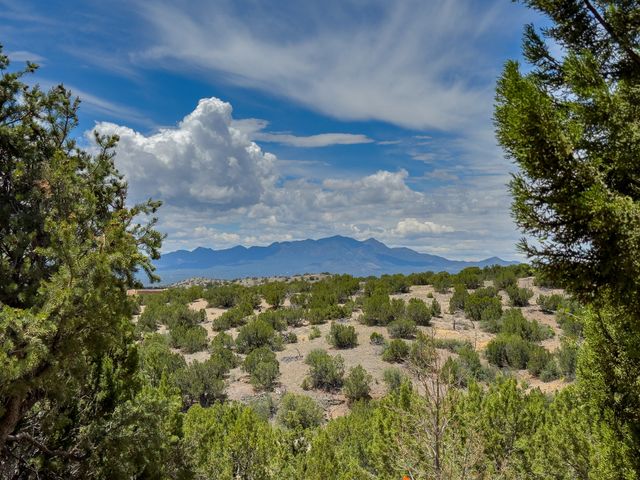 171 Silver Hills, Santa Fe, NM 87508