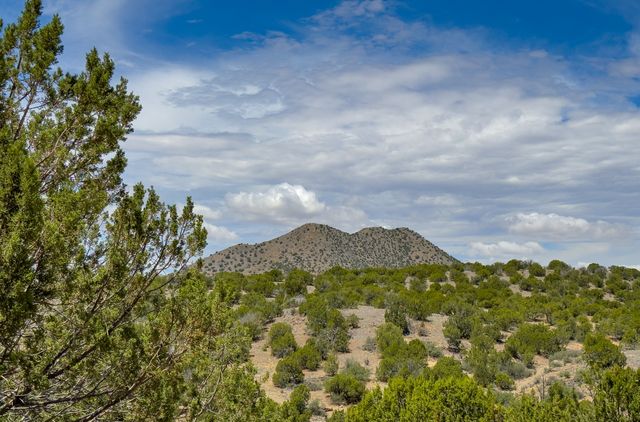 171 Silver Hills, Santa Fe, NM 87508