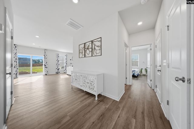 215 Belfast Way, Lexington, SC 29073
