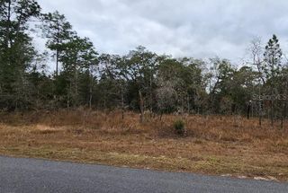 MALEO ROAD, Weeki Wachee, FL 34614